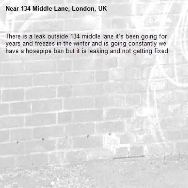 There is a leak outside 134 middle lane it's been going for years and freezes in the winter and is going constantly we have a hosepipe ban but it is leaking and not getting fixed -134 Middle Lane, London, UK
