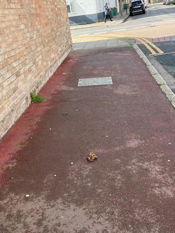 Dog poo -3 Clifford Road, Canning Town, London, E16 4JW