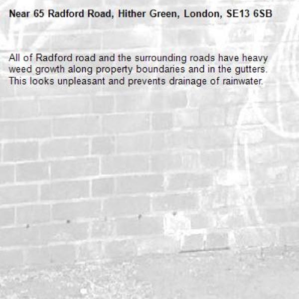 All of Radford road and the surrounding roads have heavy weed growth along property boundaries and in the gutters. This looks unpleasant and prevents drainage of rainwater.-65 Radford Road, Hither Green, London, SE13 6SB