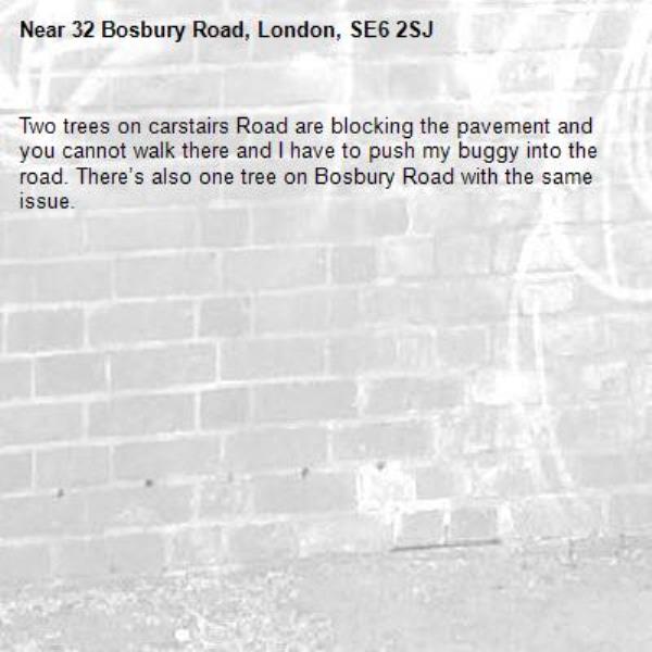 Two trees on carstairs Road are blocking the pavement and you cannot walk there and I have to push my buggy into the road. There’s also one tree on Bosbury Road with the same issue.-32 Bosbury Road, London, SE6 2SJ