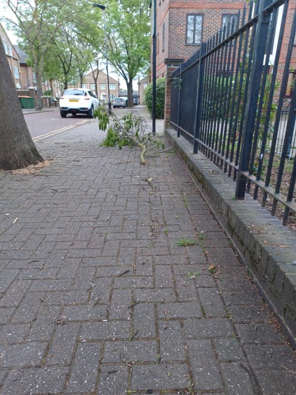 Can the council arrange with Gristwood&Tom's to  collect  this  tree branch  opposite 60 Nightingale Way Beckton. Thanks -46 Nightingale Way, Beckton, London, E6 5JR