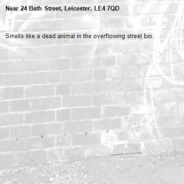 Smells like a dead animal in the overflowing street bin-24 Bath Street, Leicester, LE4 7QD