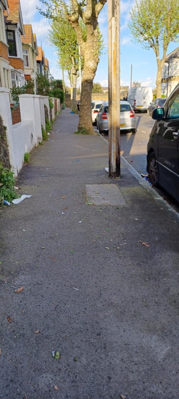 Rubbish along street after bins emptied -85 Lincoln Road, Forest Gate, London, E7 8QN