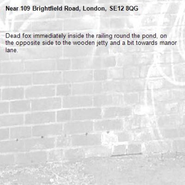 Dead fox immediately inside the railing round the pond, on the opposite side to the wooden jetty and a bit towards manor lane.-109 Brightfield Road, London, SE12 8QG