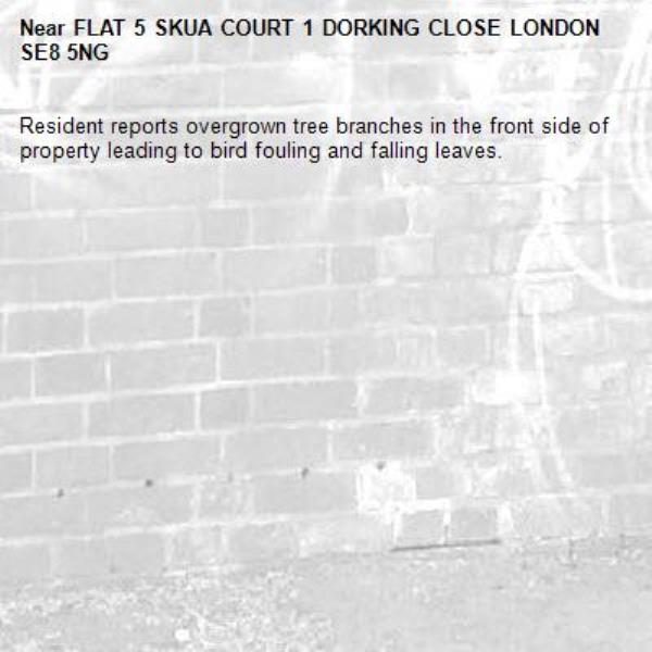 Resident reports overgrown tree branches in the front side of property leading to bird fouling and falling leaves.-FLAT 5 SKUA COURT 1 DORKING CLOSE LONDON SE8 5NG