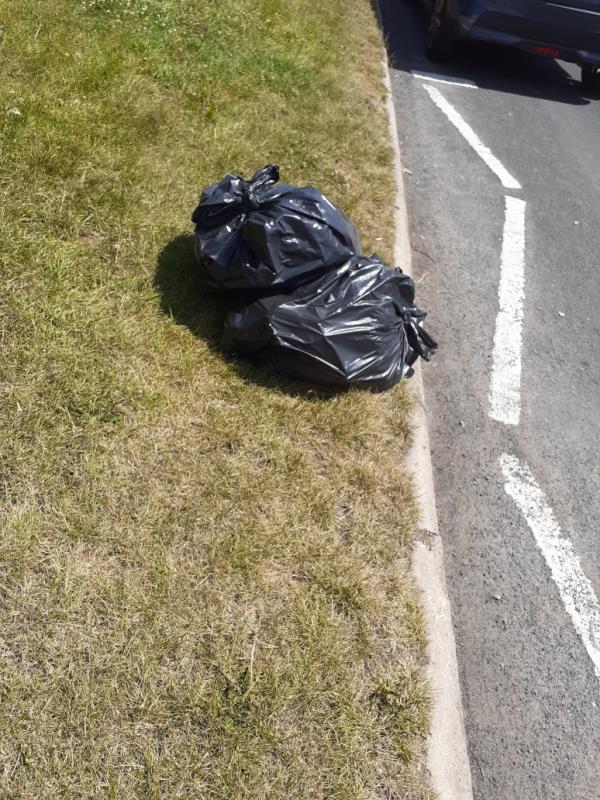 These bags of rubbish was left next to the litter bins on Aspen way which has been regularly used for flytipping. -70 Owen Road, Wolverhampton, WV3 0AL