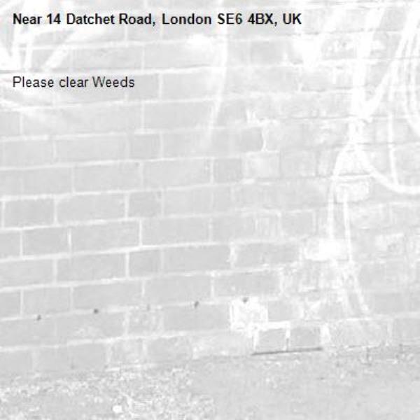 Please clear Weeds-14 Datchet Road, London SE6 4BX, UK