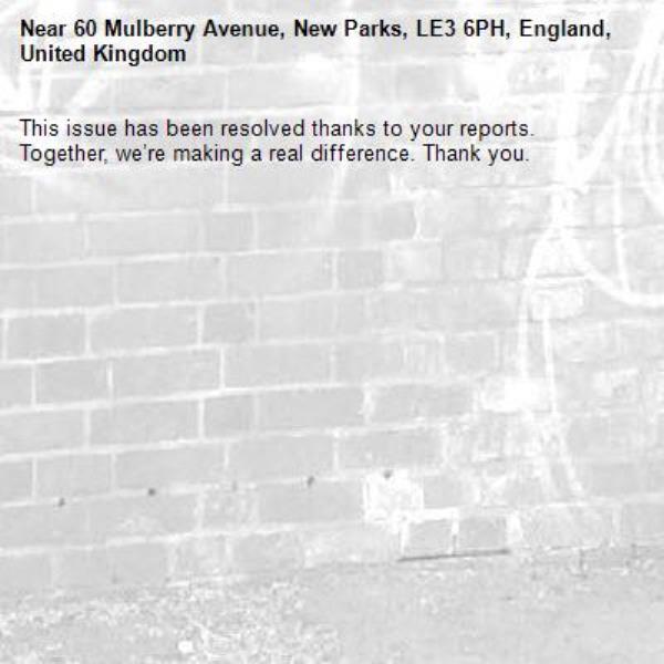 This issue has been resolved thanks to your reports.
Together, we’re making a real difference. Thank you.
-60 Mulberry Avenue, New Parks, LE3 6PH, England, United Kingdom