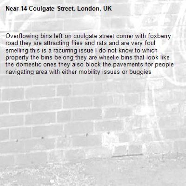 Overflowing bins left on coulgate street corner with foxberry road they are attracting flies and rats and are very foul smelling this is a racurring issue I do not know to which property the bins belong they are wheelie bins that look like the domestic ones they also block the pavements for people navigating area with either mobility issues or buggies-14 Coulgate Street, London, UK