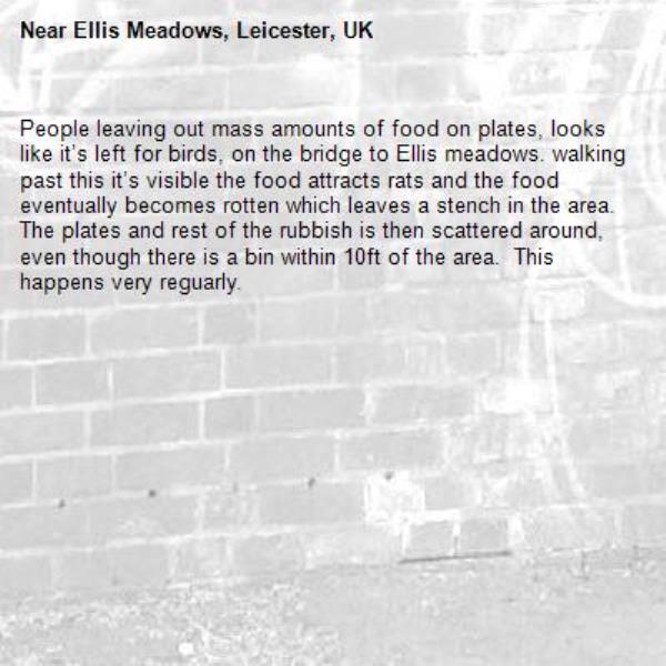 People leaving out mass amounts of food on plates, looks like it’s left for birds, on the bridge to Ellis meadows. walking past this it’s visible the food attracts rats and the food eventually becomes rotten which leaves a stench in the area. The plates and rest of the rubbish is then scattered around, even though there is a bin within 10ft of the area.  This happens very reguarly. -Ellis Meadows, Leicester, UK