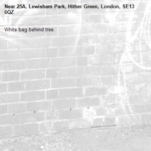 White bag behind tree. -25A, Lewisham Park, Hither Green, London, SE13 6QZ