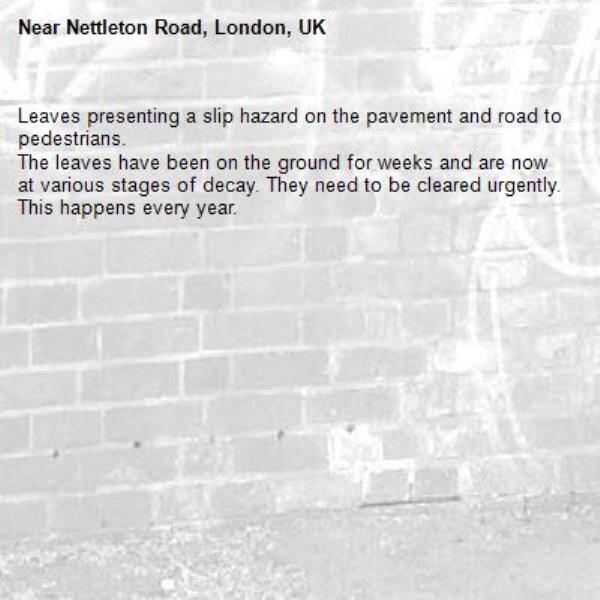 Leaves presenting a slip hazard on the pavement and road to pedestrians. 
The leaves have been on the ground for weeks and are now at various stages of decay. They need to be cleared urgently.  This happens every year. -Nettleton Road, London, UK