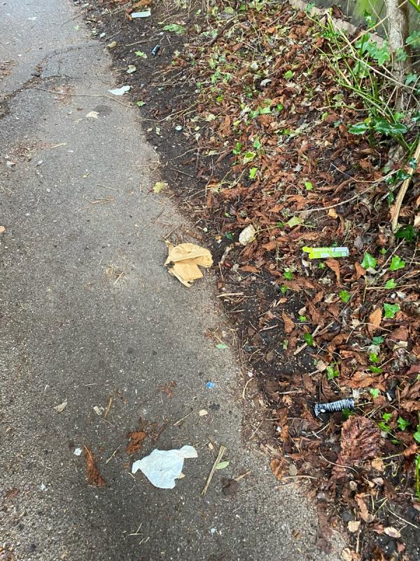 Broken glass, litter and dog foul in the pathway between co-op and lynchford road. See what 3 words for exact location ///festivity.across.flops

The path is called church path-13b Alexandra Road, Saint Marks, GU14 6BU, England, United Kingdom