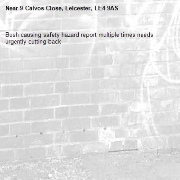 Bush causing safety hazard report multiple times needs urgently cutting back -9 Calvos Close, Leicester, LE4 9AS