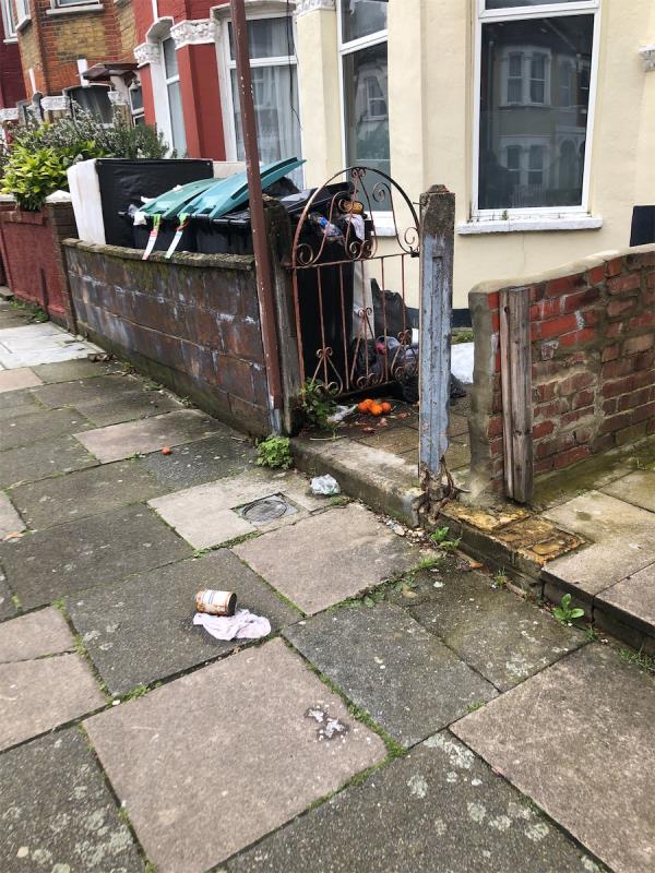 Overflowing bins and rubbish from  Handsworth Road now in the street. Why are these people so disgusting. -22 Handsworth Road, Tottenham, London, N17 6DE