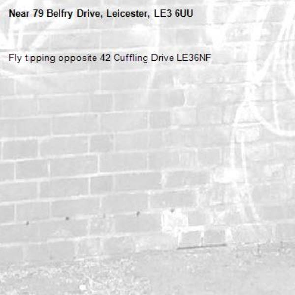 Fly tipping opposite 42 Cuffling Drive LE36NF -79 Belfry Drive, Leicester, LE3 6UU