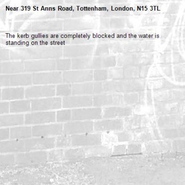 The kerb gullies are completely blocked and the water is standing on the street-319 St Anns Road, Tottenham, London, N15 3TL