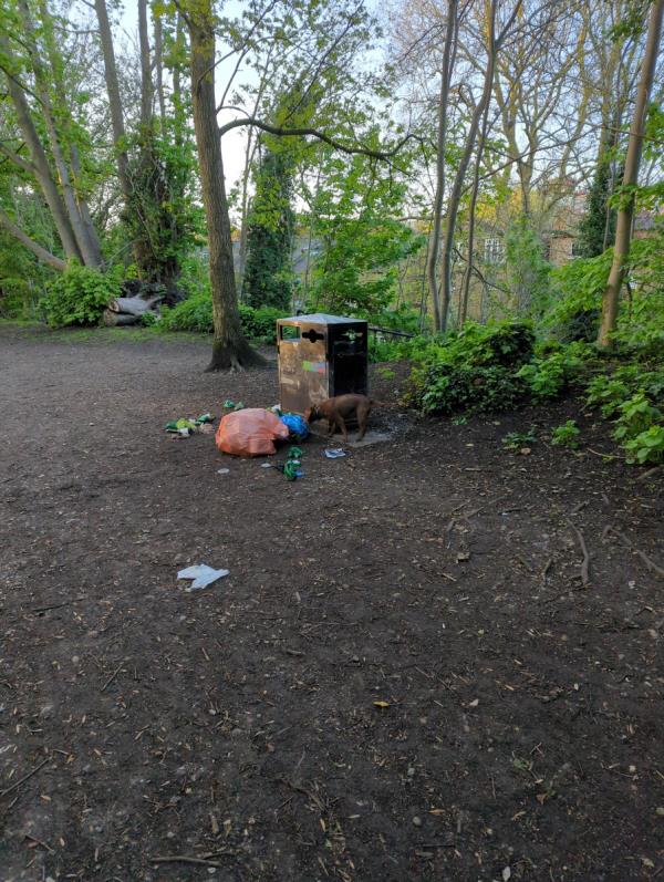 Rubbish left on parkland walk -88 Milton Park, Hornsey, London, N6 5PZ
