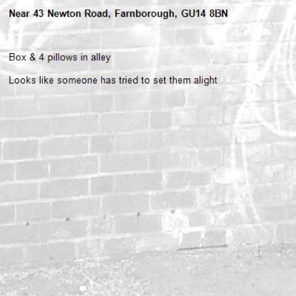 Box &amp; 4 pillows in alley 

Looks like someone has tried to set them alight-43 Newton Road, Farnborough, GU14 8BN