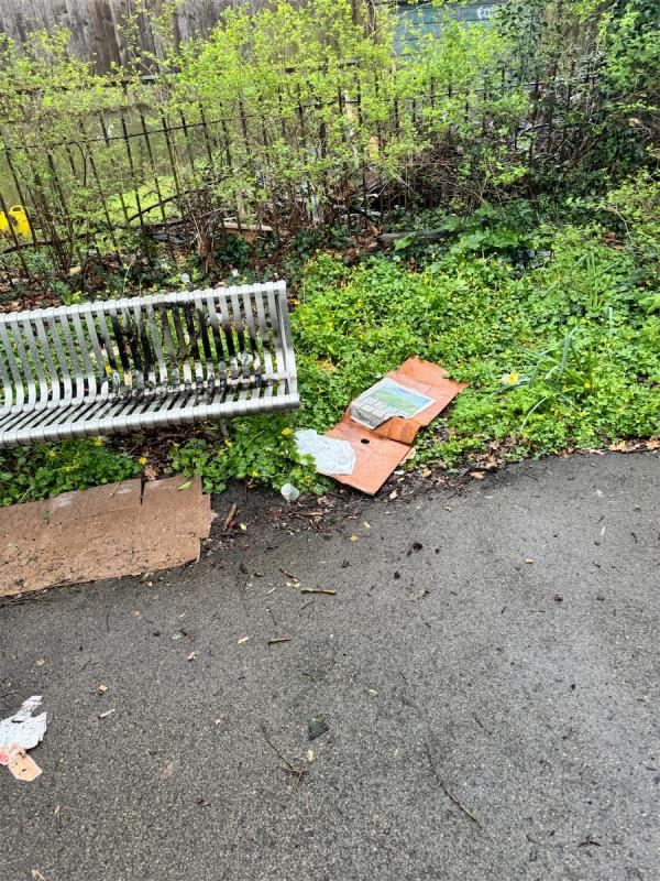 Fly tipping and litter on woodland walk -Angel Face Pre School, 5 Oakridge Road, Bromley, BR1 5QW