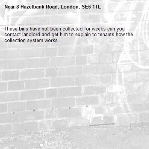 These bins have not been collected for weeks can you contact landlord and get him to explain to tenants how the collection system works.-8 Hazelbank Road, London, SE6 1TL
