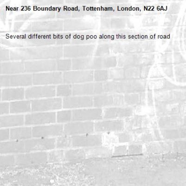 Several different bits of dog poo along this section of road-236 Boundary Road, Tottenham, London, N22 6AJ