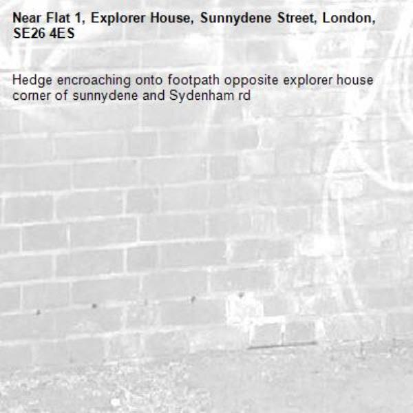 Hedge encroaching onto footpath opposite explorer house corner of sunnydene and Sydenham rd-Flat 1, Explorer House, Sunnydene Street, London, SE26 4ES