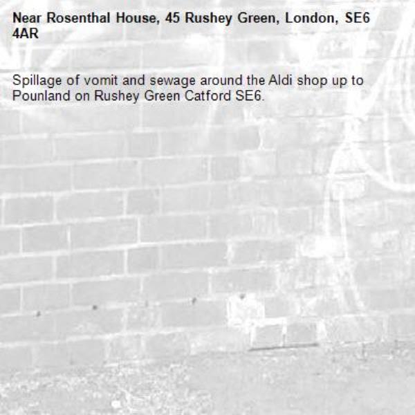 Spillage of vomit and sewage around the Aldi shop up to Pounland on Rushey Green Catford SE6. -Rosenthal House, 45 Rushey Green, London, SE6 4AR