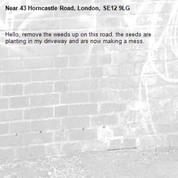 Hello, remove the weeds up on this road, the seeds are planting in my driveway and are now making a mess.-43 Horncastle Road, London, SE12 9LG