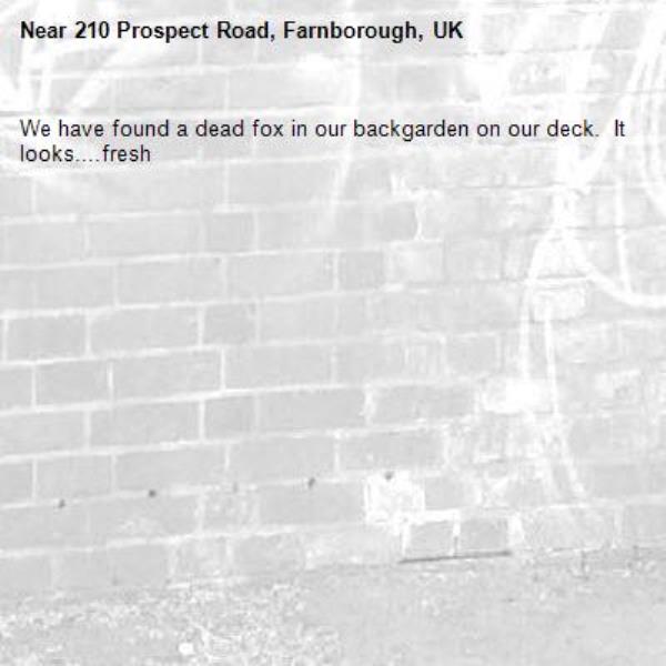 We have found a dead fox in our backgarden on our deck.  It looks....fresh-210 Prospect Road, Farnborough, UK