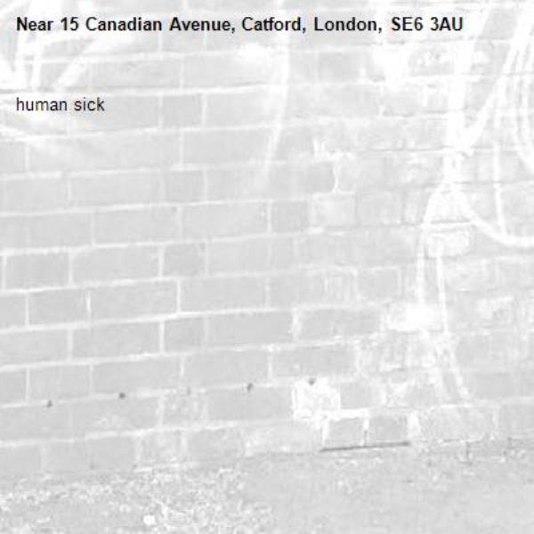 human sick-15 Canadian Avenue, Catford, London, SE6 3AU