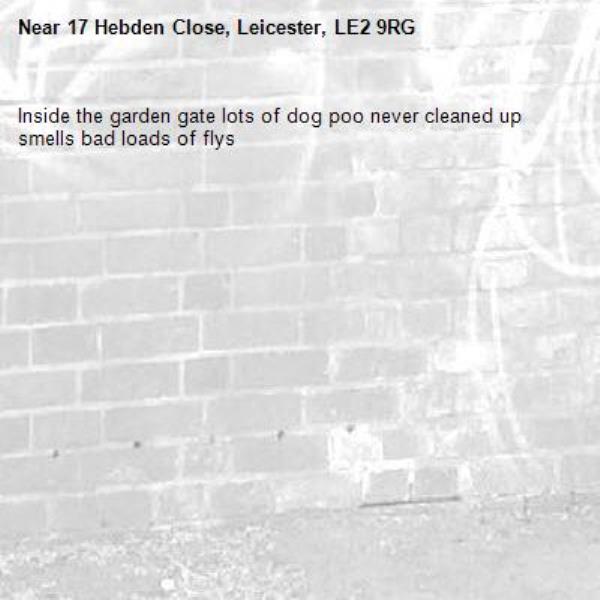 Inside the garden gate lots of dog poo never cleaned up smells bad loads of flys-17 Hebden Close, Leicester, LE2 9RG