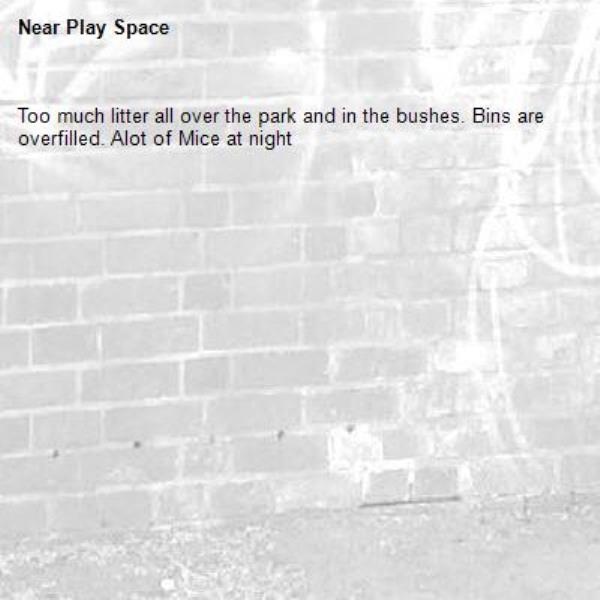 Too much litter all over the park and in the bushes. Bins are overfilled. Alot of Mice at night -Play Space