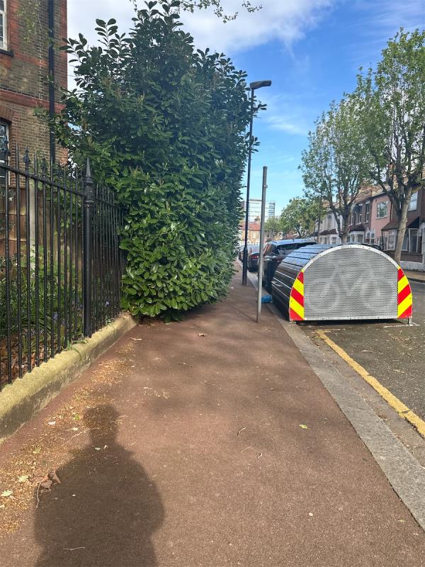 Bush is encroaching on path. Not much path left to use. This has been reported by residents a number of times yet nothing is done. -12 Bull Road, Stratford, London, E15 3HQ