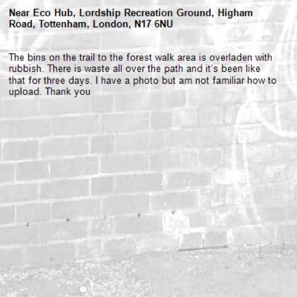 The bins on the trail to the forest walk area is overladen with rubbish. There is waste all over the path and it’s been like that for three days. I have a photo but am not familiar how to upload. Thank you-Eco Hub, Lordship Recreation Ground, Higham Road, Tottenham, London, N17 6NU