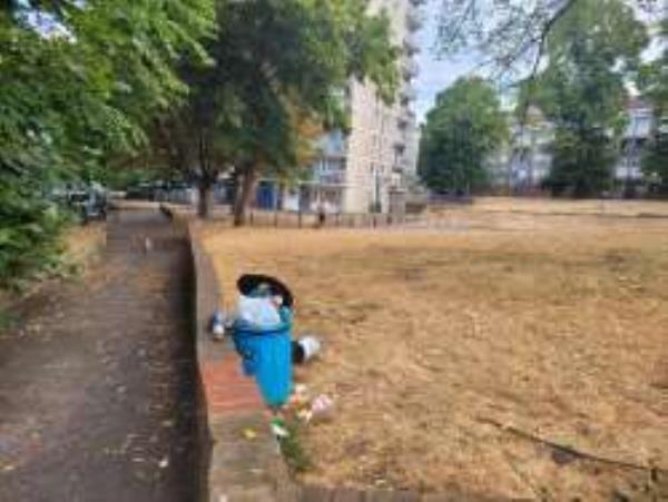 This is an old bin from the dog walking area that has been moved to the grass area next to a children's play area. It is stinking and highly dangerous, especially to children.
-Rawlinson House Mercator Road, London, SE13 5EL