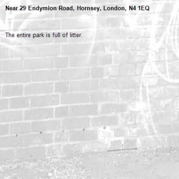 The entire park is full of litter.-29 Endymion Road, Hornsey, London, N4 1EQ