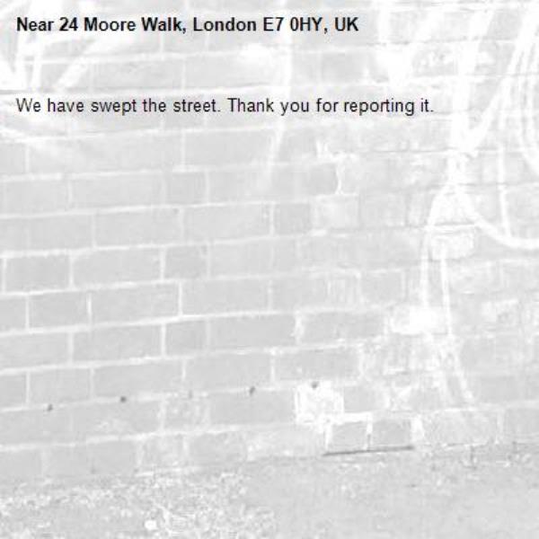 We have swept the street. Thank you for reporting it.-24 Moore Walk, London E7 0HY, UK