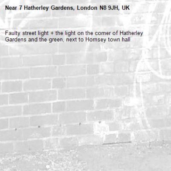 Faulty street light + the light on the corner of Hatherley Gardens and the green, next to Hornsey town hall -7 Hatherley Gardens, London N8 9JH, UK