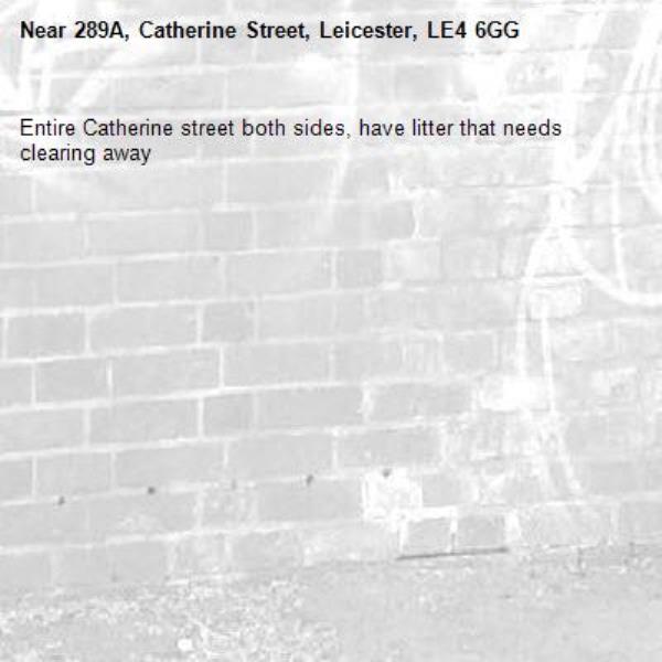 Entire Catherine street both sides, have litter that needs clearing away   -289A, Catherine Street, Leicester, LE4 6GG