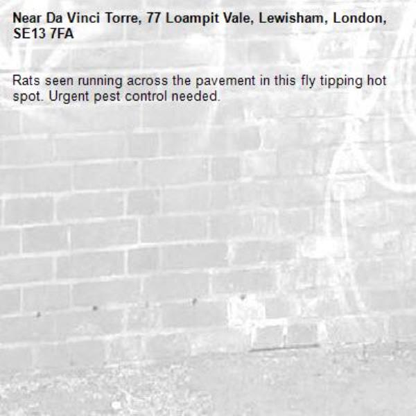Rats seen running across the pavement in this fly tipping hot spot. Urgent pest control needed. -Da Vinci Torre, 77 Loampit Vale, Lewisham, London, SE13 7FA