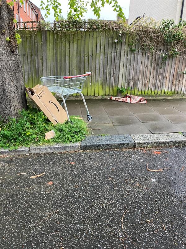 Shopping trolley -46 Beacon Road, Hither Green, London, SE13 6EB