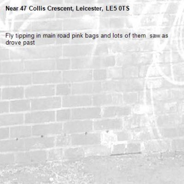 Fly tipping in main road pink bags and lots of them  saw as drove past -47 Collis Crescent, Leicester, LE5 0TS