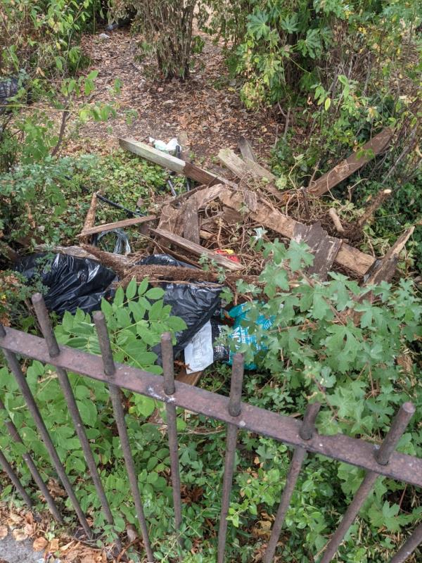 Dirty scum thrown their trash in the park. -106 Stainton Road, London, SE6 1AR
