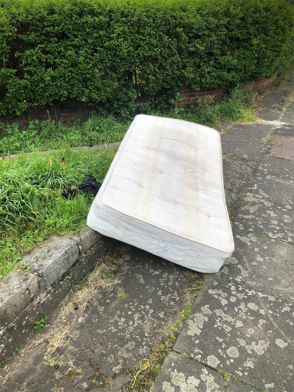 By grass area near junction with Whitefoot Lane. Please clear a mattress-16 Whitefoot Terrace, Bromley, BR1 5SH