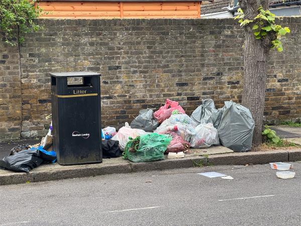 Mass dump of rubbish bags-7 Vaughan Road, Stratford, London, E15 4AA