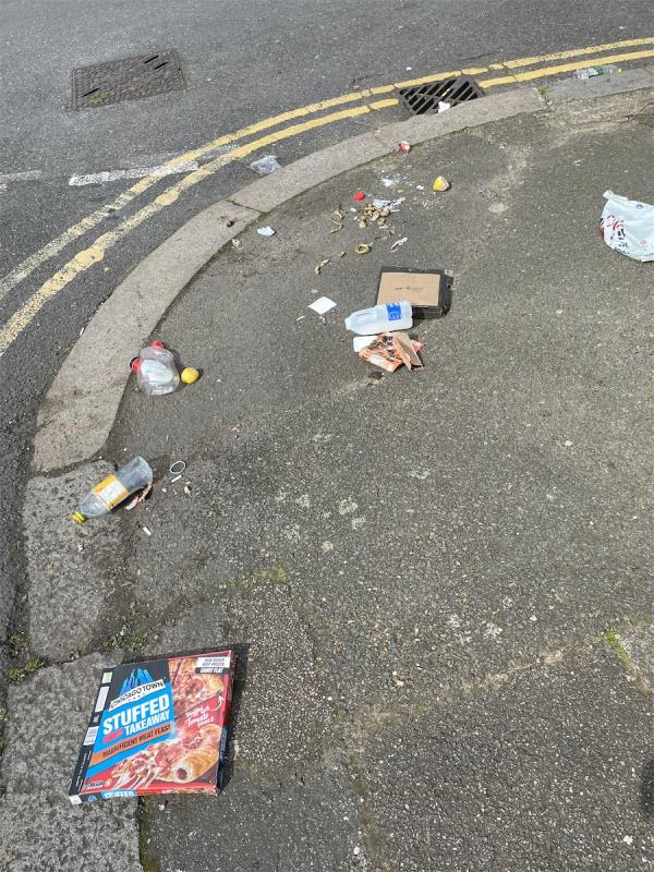 Litter on street… lots of it. -1 Birkhall Road, Catford, London, SE6 1TF