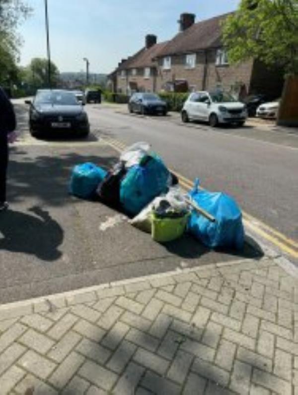 Outside Woodland Walk
Please clear Flytip
-113 Downderry Road, Bromley, BR1 5QE