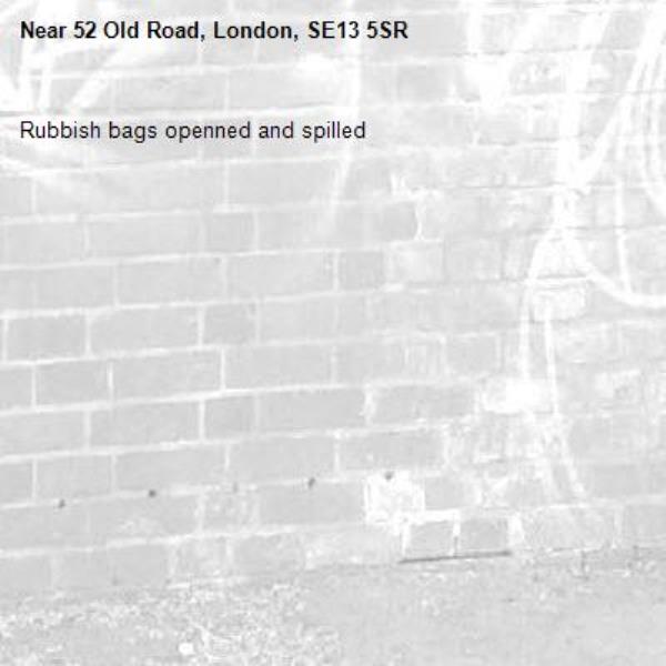 Rubbish bags openned and spilled-52 Old Road, London, SE13 5SR