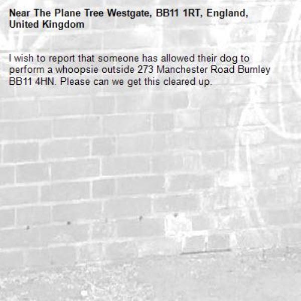 I wish to report that someone has allowed their dog to perform a whoopsie outside 273 Manchester Road Burnley BB11 4HN. Please can we get this cleared up.-The Plane Tree Westgate, BB11 1RT, England, United Kingdom